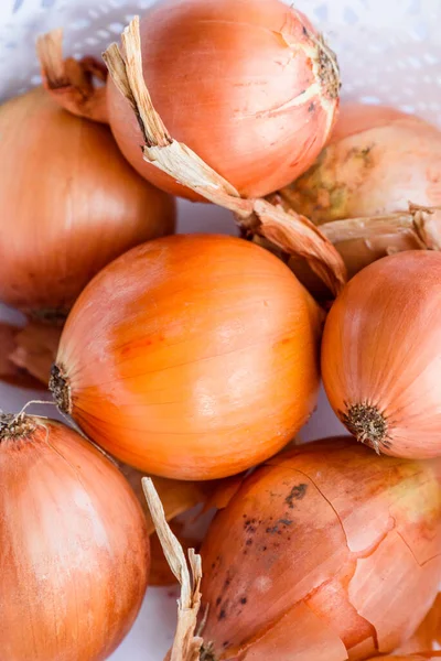 Onion Vegetable Fresh Autumn Crop Onions Big Heap Onions Nature — Stock Photo, Image