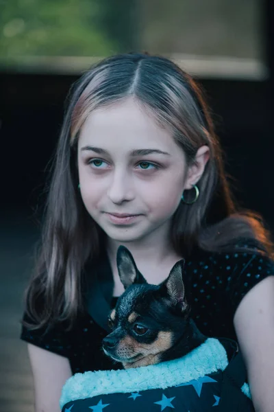Çuvalında Chihuahuası Olan Bir Kız Köpeği Olan Genç Bir Kız — Stok fotoğraf