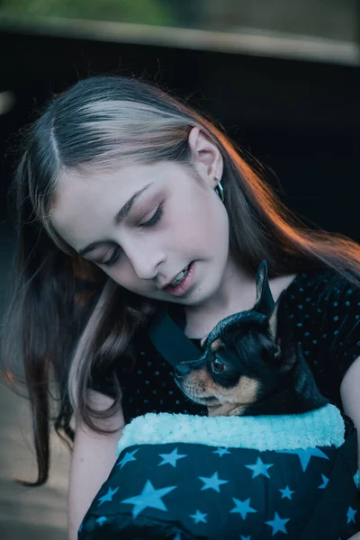 Une Fille Avec Des Chihuahuas Dans Sac Adolescente Avec Chien — Photo