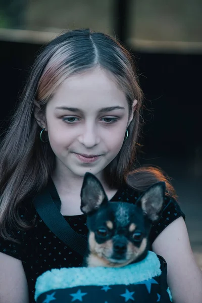 Mädchen Mit Chihuahuas Einer Tasche Teenager Mädchen Mit Hund Mädchen — Stockfoto