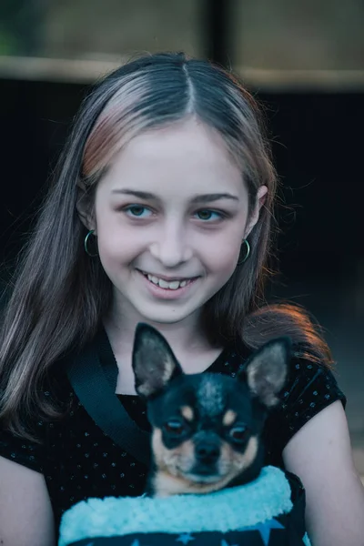 Menina Com Chihuahuas Saco Adolescente Com Cão Menina Animal Estimação — Fotografia de Stock