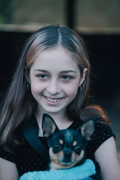 Chica Con Chihuahuas Una Bolsa Adolescente Con Perro Chica Mascota — Foto de Stock