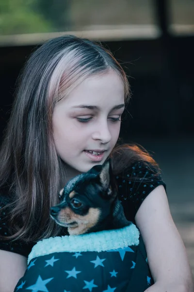 Mädchen Mit Chihuahuas Einer Tasche Teenager Mädchen Mit Hund Mädchen — Stockfoto