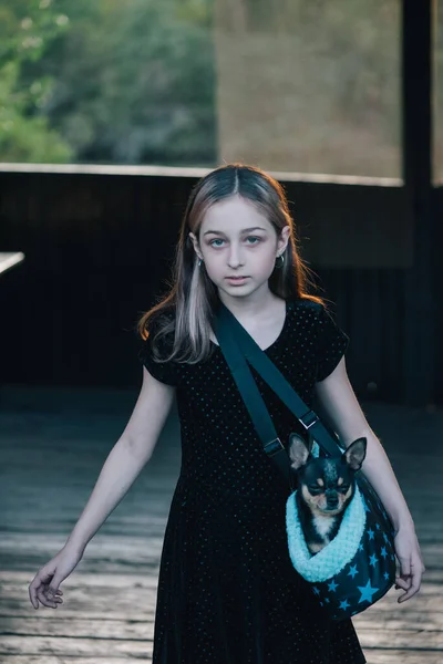 Mädchen Mit Chihuahuas Einer Tasche Teenager Mädchen Mit Hund Mädchen — Stockfoto