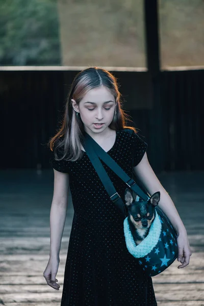 Mädchen Mit Chihuahuas Einer Tasche Teenager Mädchen Mit Hund Mädchen — Stockfoto