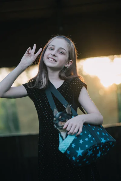 Chica Con Chihuahuas Una Bolsa Adolescente Con Perro Chica Mascota — Foto de Stock