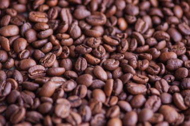 Kahve çekirdekleri. Hafif kavrulmuş doğal kahve çekirdekleri. Sabah ve enerji, kafein. Arabica