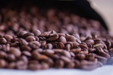 Kahve çekirdekleri. Hafif kavrulmuş doğal kahve çekirdekleri. Sabah ve enerji, kafein. Arabica