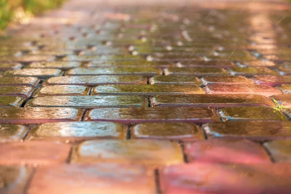 Roze Plaveisel Regen Voor Achtergrond Natte Rode Plavuizen Regen Textuur — Stockfoto