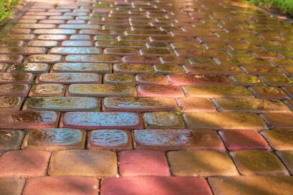 Roze Plaveisel Regen Voor Achtergrond Natte Rode Plavuizen Regen Textuur — Stockfoto