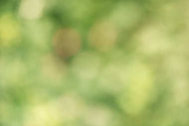 Soyut doğal defocus ışık arka planı yeşil ve turuncu. Bokeh.