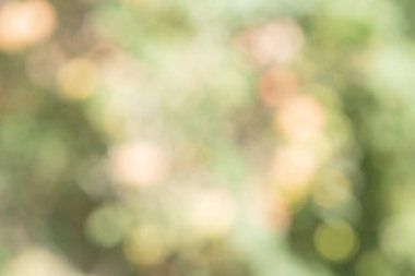 Defocus ışıkları yeşil doğal. Bokeh. Bulanık yapraklar