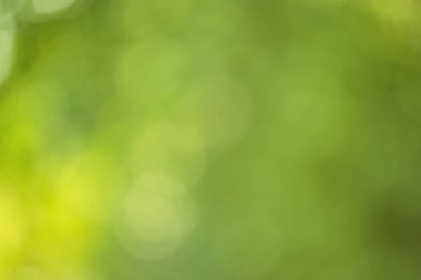 Soyut odaklanmış ışık arkaplan ışığı ve koyu yeşil