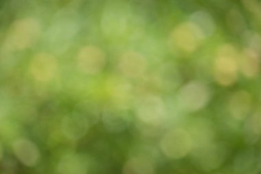 Bulanık doğa geçmişi. Odaksız ışıklar yeşil ve sarı