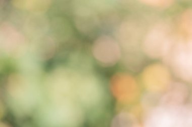 Defocus ışıkları doğal. Bitkilerin bulanık arkaplanı