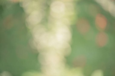 Bulanık doğa geçmişi. Odaklanmamış ışıklar yeşil ve kırmızı