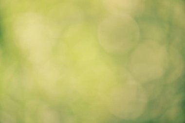 Açık ve koyu yeşil renklerde soyut doğal arkaplan