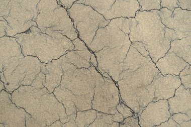 Los Angeles sokaklarında betonda çatlak. İç tasarım için arka plan.