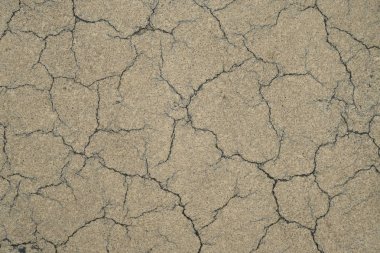 Los Angeles sokaklarında betonda çatlak. İç tasarım için arka plan.
