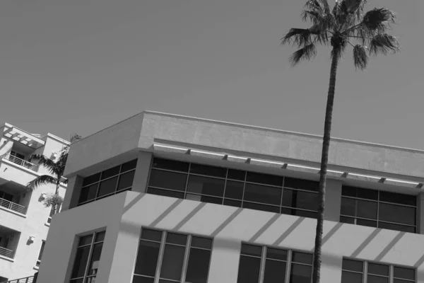 Elements Details Facade Buildings Los Angeles Your Design — Stock Photo, Image