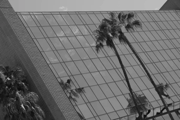 Elements Details Facade Buildings Los Angeles Your Design — Stock Photo, Image