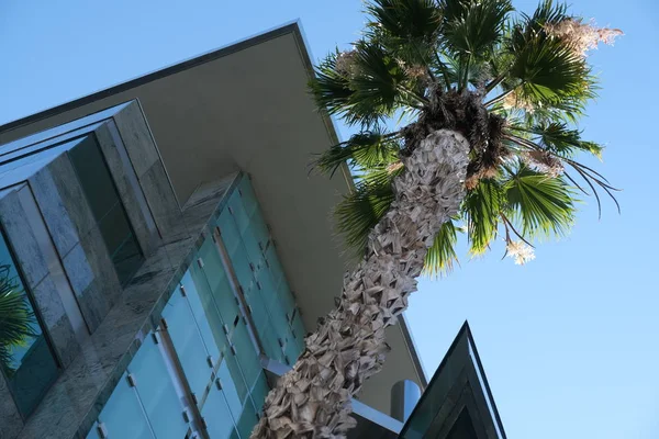 Tasarım Için Los Angeles Taki Binaların Cephesinin Elemanları Detayları — Stok fotoğraf