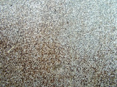 İç tasarım için beton yüzey üzerinde soyut arka plan kavramı.