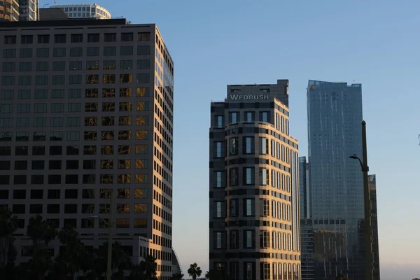 Wieżowce Dużego Miasta Los Angeles Usa 2019 Lipca — Zdjęcie stockowe