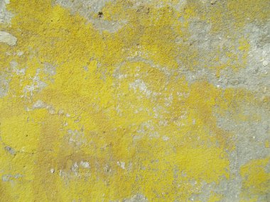 Beton yüzey. İç tasarım için arka plan konsepti.