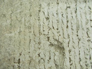 Beton yüzey. İç tasarım için arka plan konsepti.