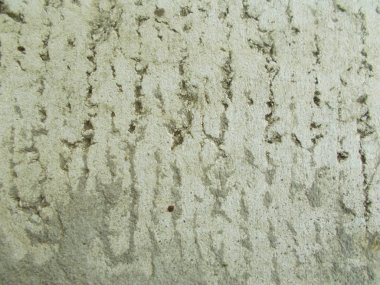 Beton yüzey. İç tasarım için arka plan konsepti.