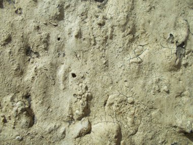 Beton yüzey. İç tasarım için arka plan konsepti.