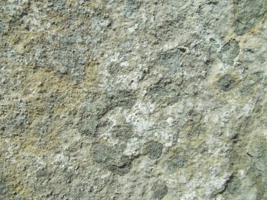 Beton yüzey. İç tasarım için arka plan konsepti.