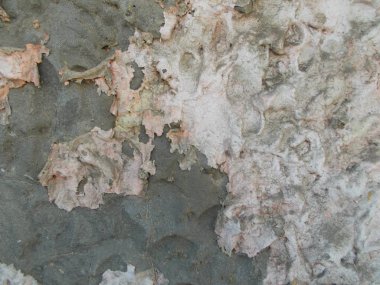 Beton yüzey. İç tasarım için arka plan konsepti.