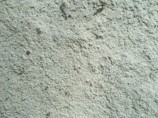 Concrete surface. Background concept for your interior design.