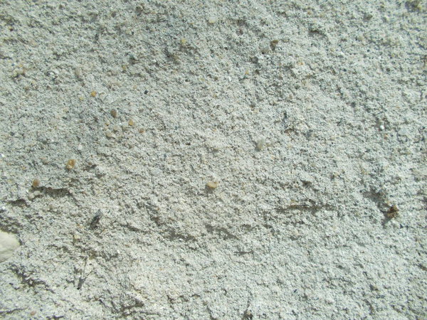 Concrete surface. Background concept for your interior design.