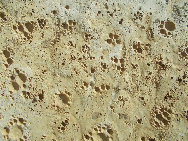 Concrete surface. Background concept for your interior design.