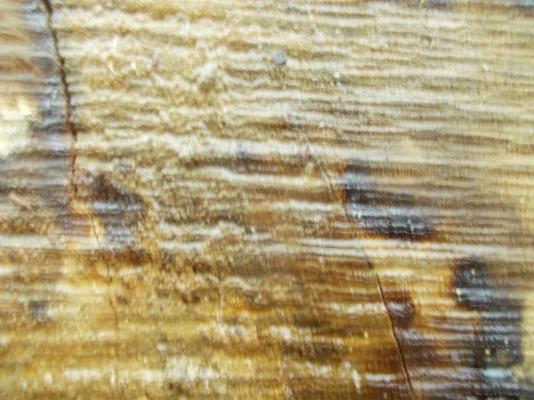 Textura Madera Antecedentes Para Diseño —  Fotos de Stock