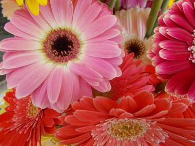 Tasarımınız için parlak çiçek buketi.