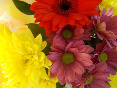 Tasarımınız için parlak çiçek buketi.