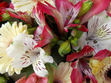 Tasarımınız için parlak çiçek buketi.