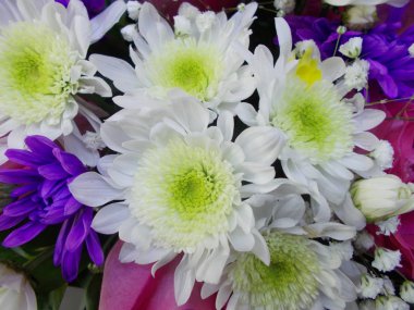 Tasarımınız için parlak çiçek buketi.