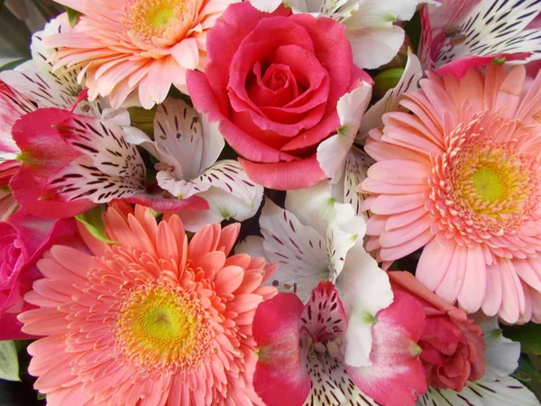 Heller Blumenstrauß Für Ihr Design — Stockfoto