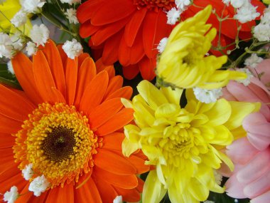 Tasarımınız için parlak çiçek buketi.