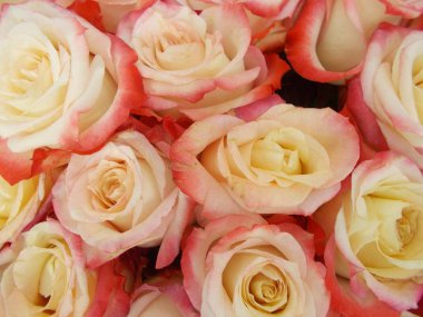 Tasarımınız için parlak çiçek buketi.