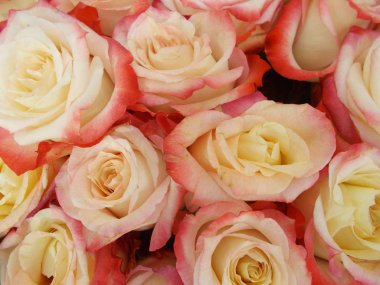 Tasarımınız için parlak çiçek buketi.