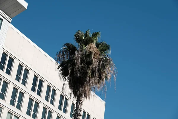 Elementos Detalles Fachada Los Edificios Los Ángeles — Foto de Stock