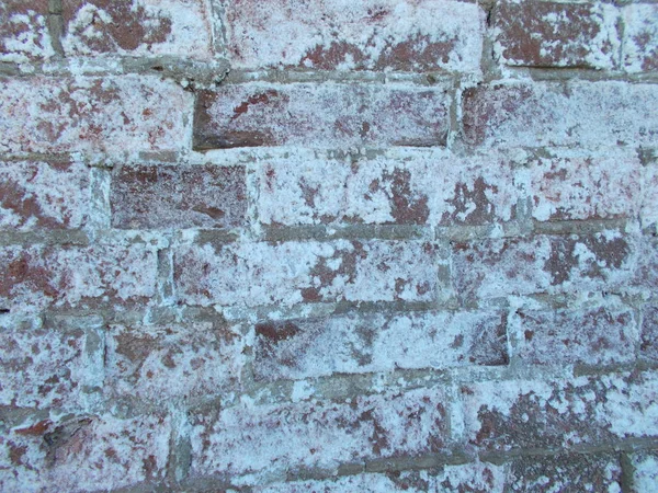 Brickwork Wall Made Bricks Background Design — Stock Photo, Image