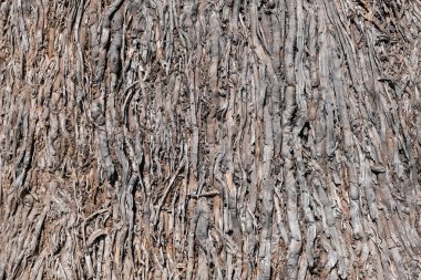 Tasarımınız için ahşap doku