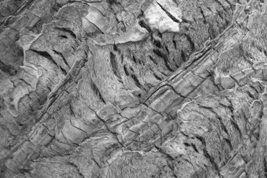 Tasarımınız için ahşap doku